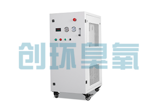 深泽石斑鱼养殖水质调控完整指南:臭氧发生器配置与操作步骤