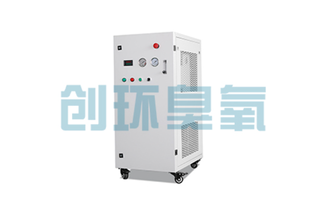 深泽比传统换水更高效?臭氧发生器在石斑鱼养殖中的水质净化原理解析